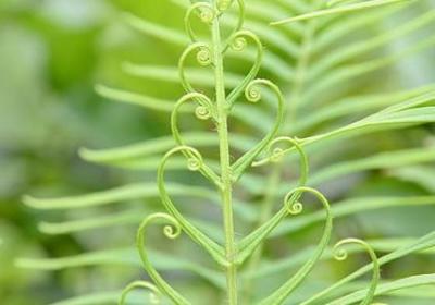 护肤励志的句子(热门20句)