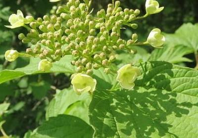 手的说说短句(合集50句)