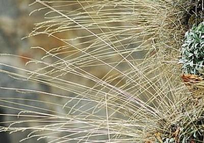 形容独特的句子(必备50句)