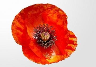 打比方的句子是比喻句吗(必备51句)