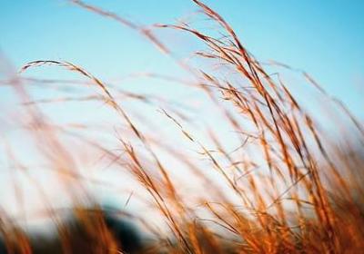 感觉自己命苦的句子(51句)