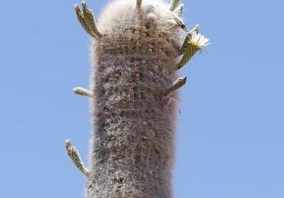 战胜疾病的句子(汇总50句)