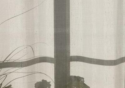 抖音火了的句子(汇总49句)