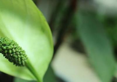 描写古代皇宫的句子(精选9句)