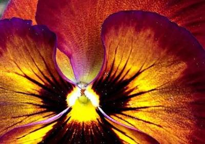 描写寒夜的句子(50句)