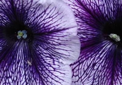 我很难过补充句子(热门53句)