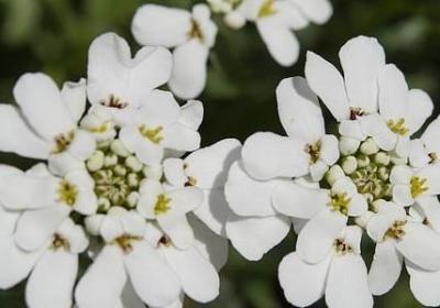 拓展培训心得体会短句(共50句)