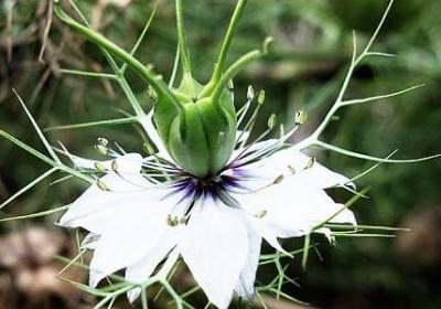 待人接物的句子(20句)