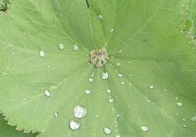 成长语录经典语录短句(实用50句)