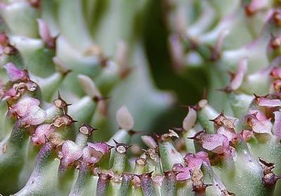 损人不带脏字的句子(共50句) 损人不带脏字的句子(共50句)