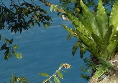 拟人的句子短句(精选50句) 拟人的句子短句(精选50句)