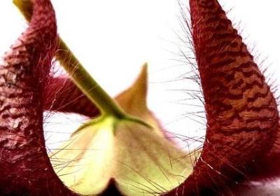 意境短句(优选60句) 意境短句(优选60句)