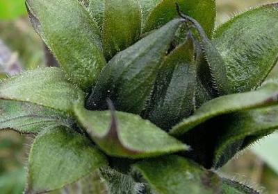 成熟短句十字以内(汇总36句) 成熟短句十字以内(汇总36句)