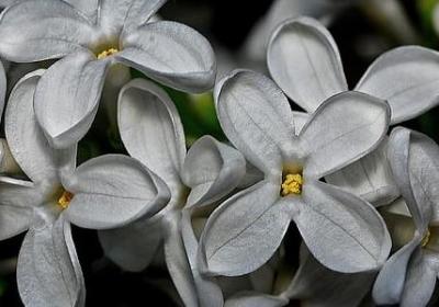 执着的经典短句(推荐50句) 执着的经典短句(推荐50句)