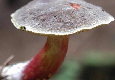 情话最暖心短句配图(必备50句) 情话最暖心短句配图(必备50句)