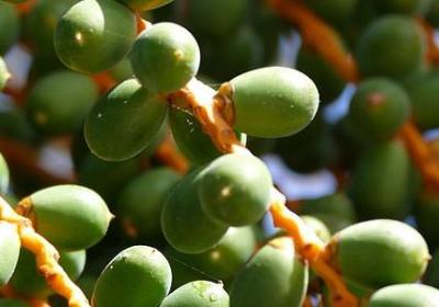 形容午睡的句子(必备30句) 形容午睡的句子(必备30句)