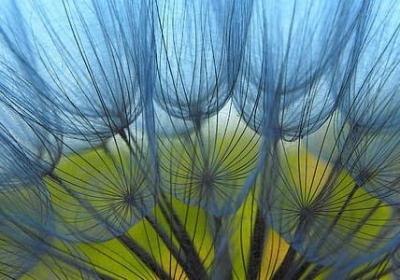 情侣间暖心的留言短句(必备50句) 情侣间暖心的留言短句(必备50句)