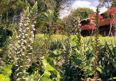 打动人心爱情表白句子(实用60句) 打动人心爱情表白句子(实用60句)