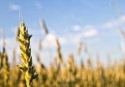 我姓冯的专属句子图片(必备50句) 我姓冯的专属句子图片(必备50句)