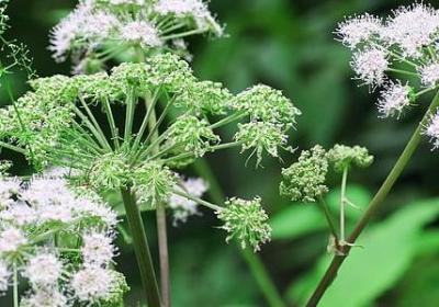 心情不好句子说说心情(汇总40句) 心情不好句子说说心情(汇总40句)