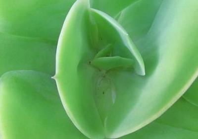 手忙脚乱造句子(推荐50句) 手忙脚乱造句子(推荐50句)