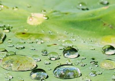 强调责任重要性的句子(精选20句) 强调责任重要性的句子(精选20句)