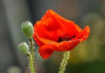 抖音深情句子(优选50句) 抖音深情句子(优选50句)