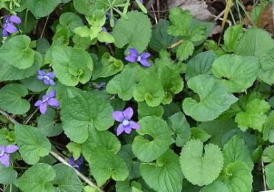 抒写心情的短句子16字(49句) 抒写心情的短句子16字(49句)