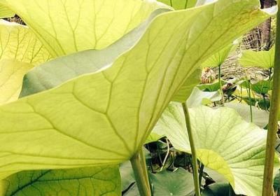 感谢送我礼物的人句子(共58句) 感谢送我礼物的人句子(共58句)