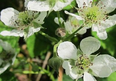把女朋友撩到下面湿的句子(合集1句) 把女朋友撩到下面湿的句子(合集1句)