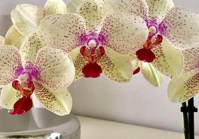 描写早秋的句子(热门50句)