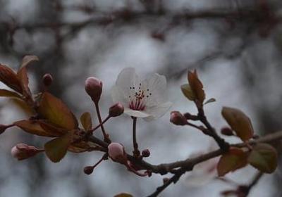 批评同学的句子(精选50句)