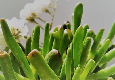 打牌输钱后心情句子(热门20句)