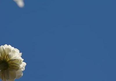 微笑面对生活的句子(合集50句)