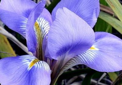 情话留言给女朋友短句(汇总50句)