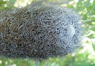 描写惊讶神态的句子(合集50句)