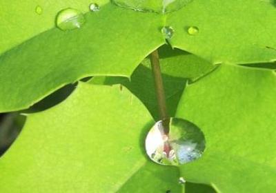 微信清理好友礼貌句子(30句)