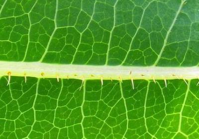 扎心句子短句感情(精选50句)