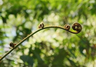 我付出你看不到的短句(优选48句)