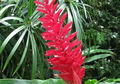 描写工作辛苦的句子(精选30句)