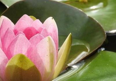 成功努力的句子(必备50句)