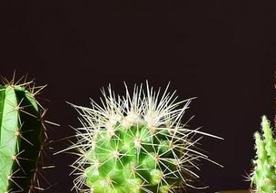 形容婚姻不幸福的句子(优选50句)