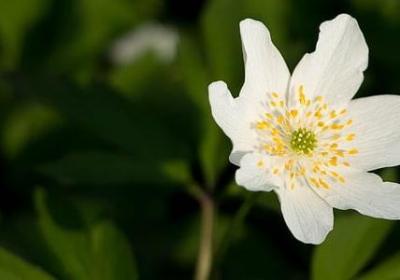 拒绝骚扰的句子(精选30句)