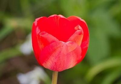 拒绝已婚男人的句子(合集50句)