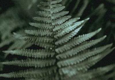 扣扣个性签名大全短句(共50句)