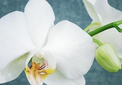 描写早晨朝霞的句子(12句)