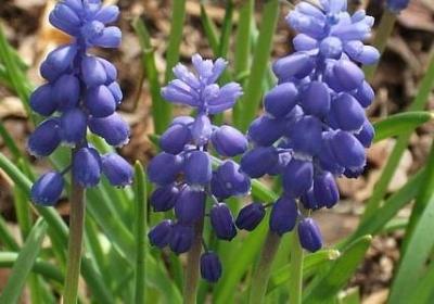 我姓陈的句子(热门50句)