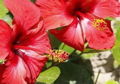 形容酒会的句子(共50句)