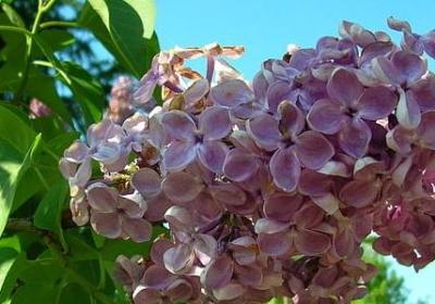 手帐英文短句(实用50句)