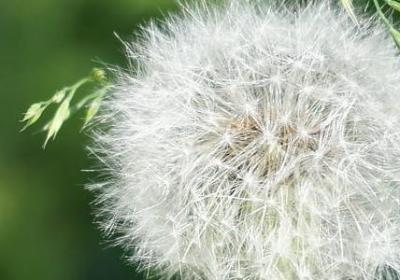 把自己变得更优秀短句(共50句)